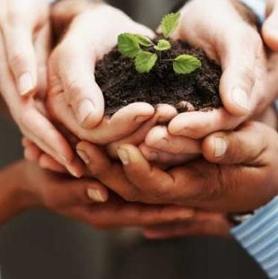 Hands holding new growth, symbolic of sustainable development